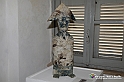 VBS_7810 - Mostra della Ceramica di Castellamonte 2021